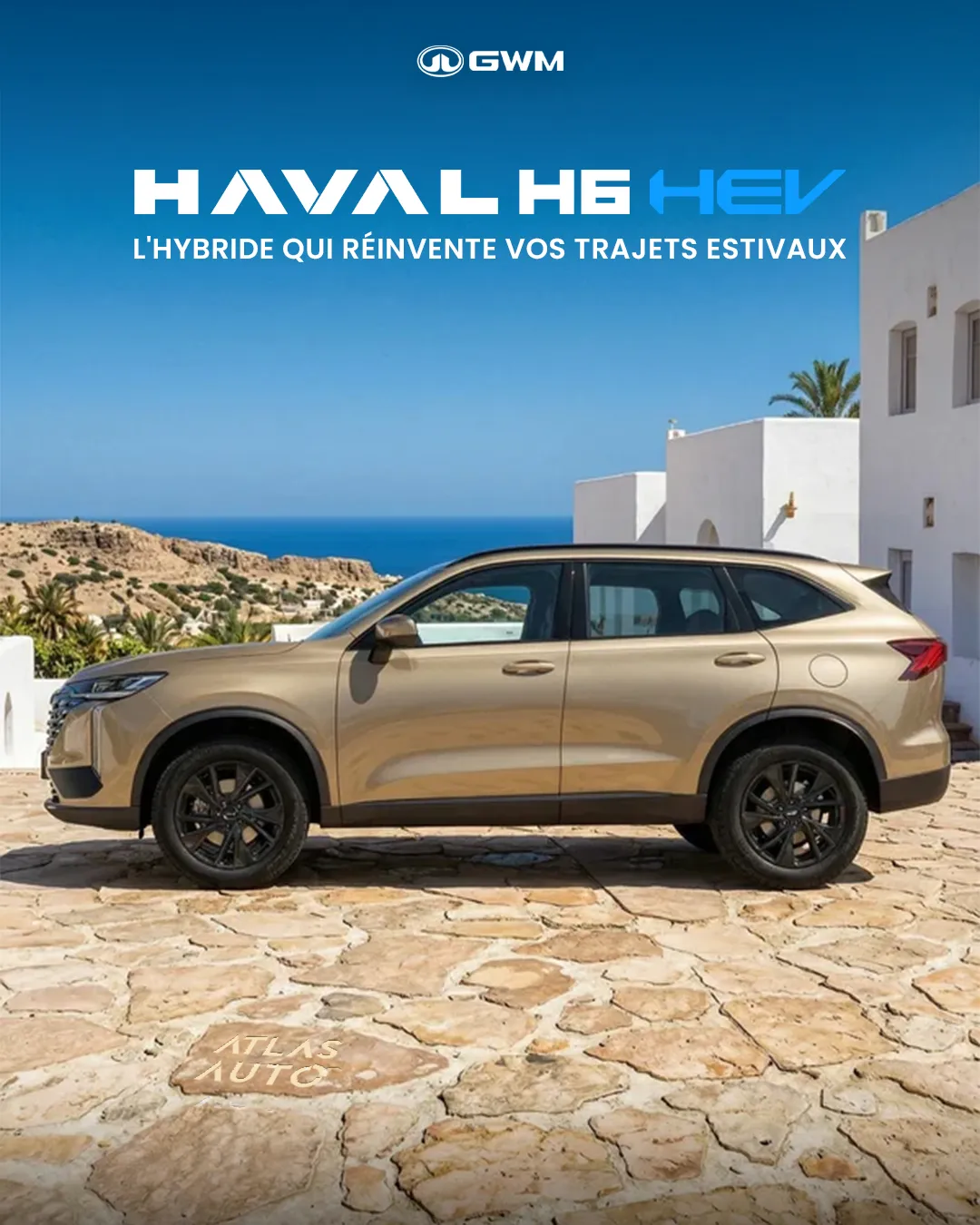 HAVAL Tunisie