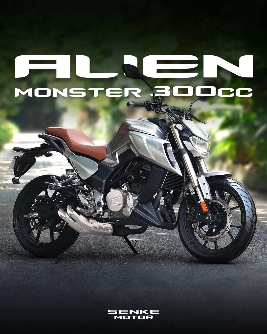 Senke Motor