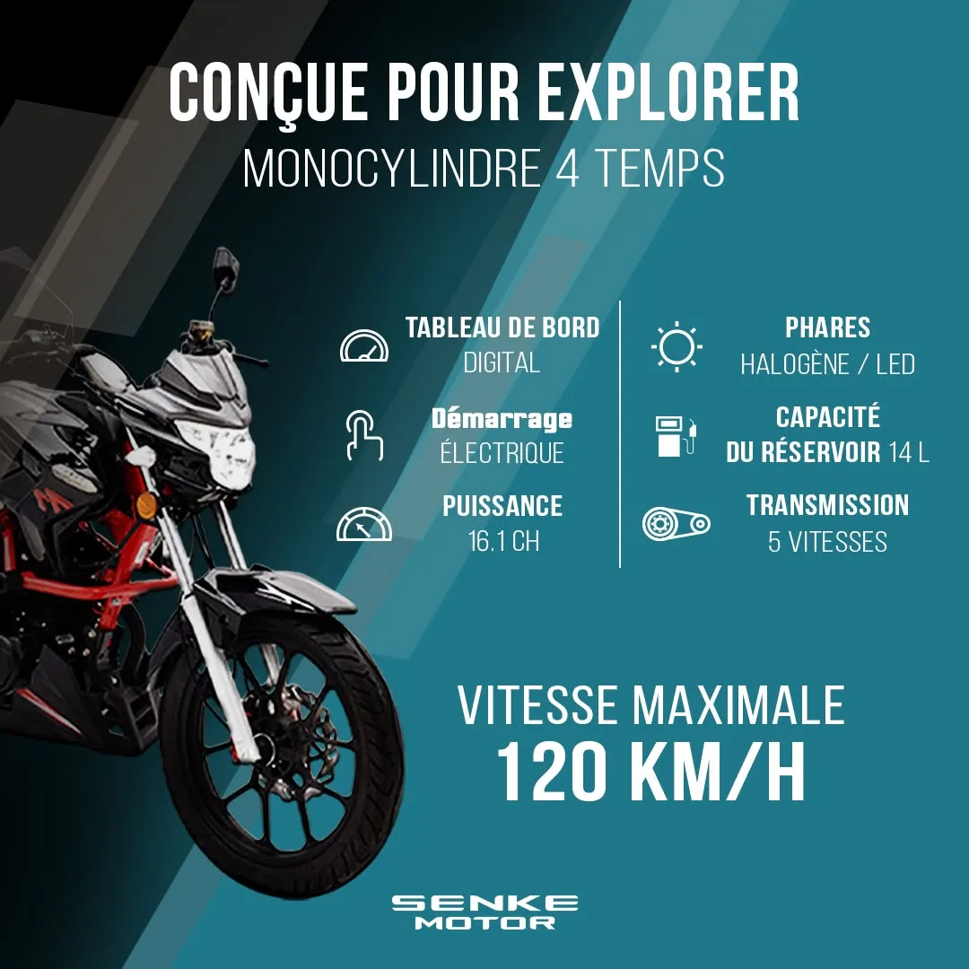 Senke Motor
