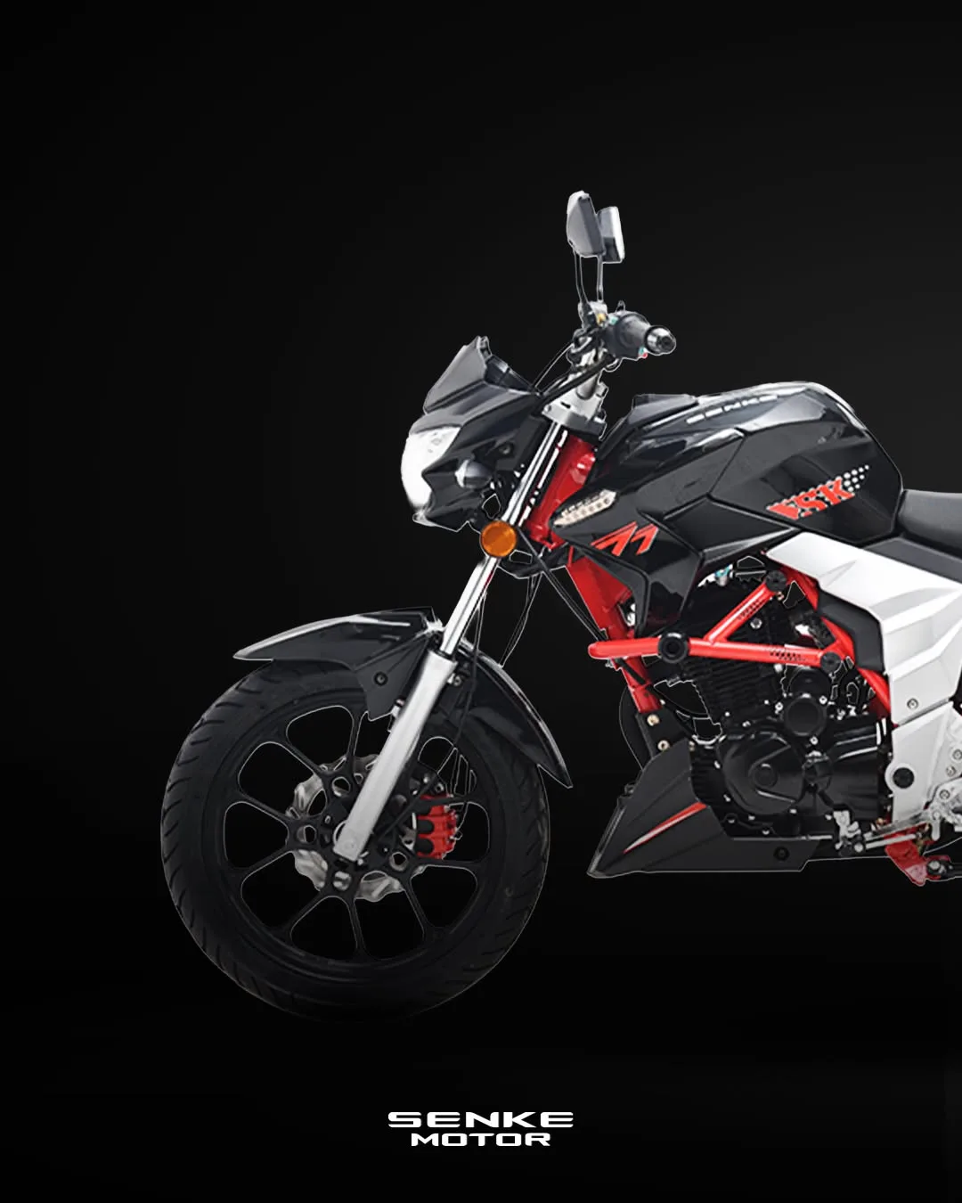 Senke Motor