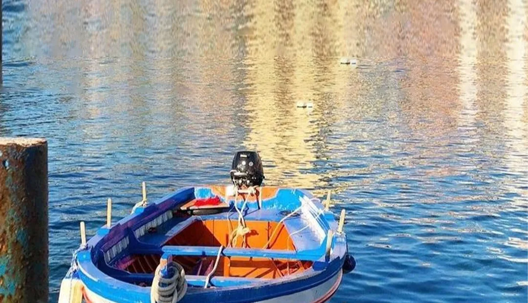 Tohatsu Tunisie